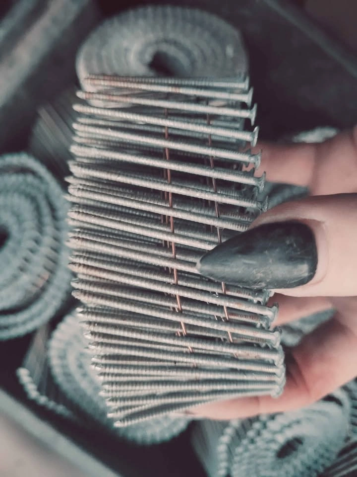 Wire Collated Coil Nail, Nailer Nails - photo 2