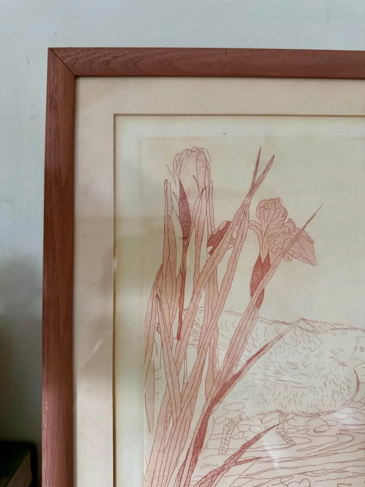 Vintage Framed Bird & Botanical Etching Print (Artist Signed) - photo 3