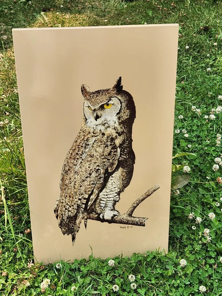 Vintage Owl Art - Metal Wall Hanging