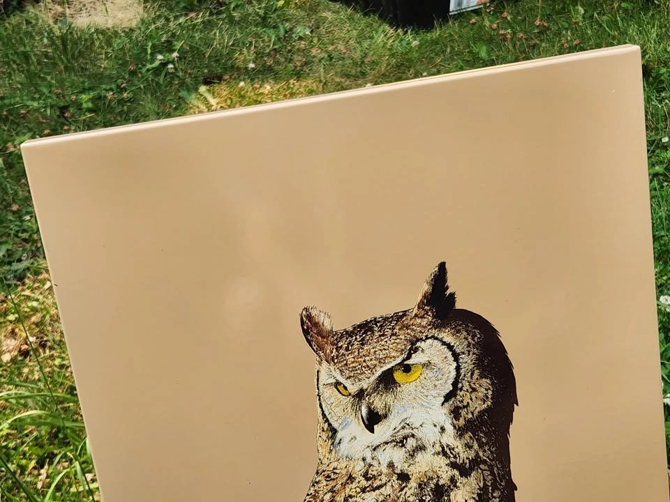 Vintage Owl Art - Metal Wall Hanging - photo 3