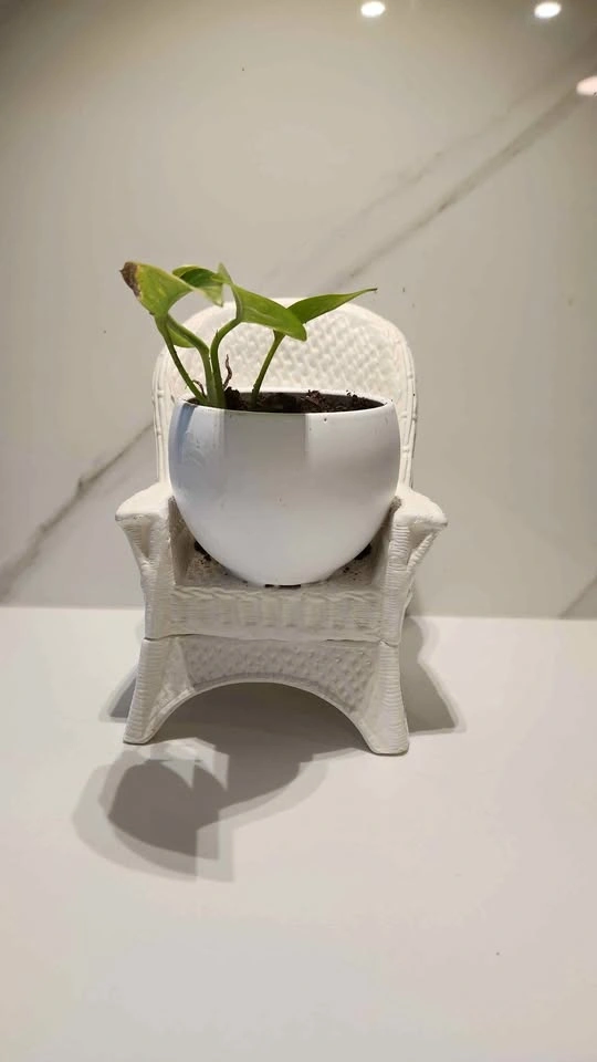 Upcycled ceramic wicker chair planter with plant