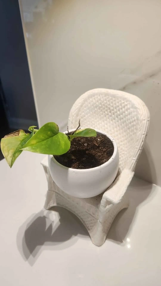 Upcycled ceramic wicker chair planter with plant - photo 3
