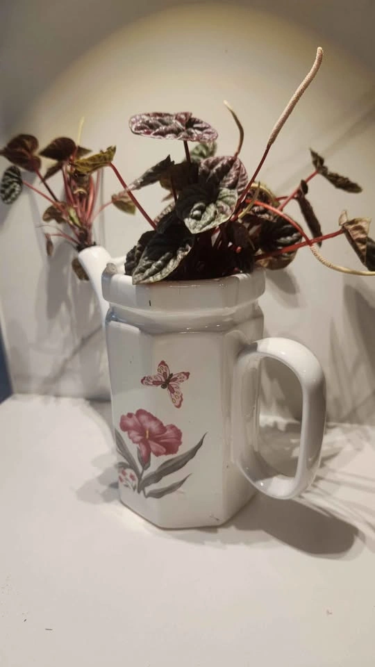 Upcycled tall teapot planter with plant - photo 2
