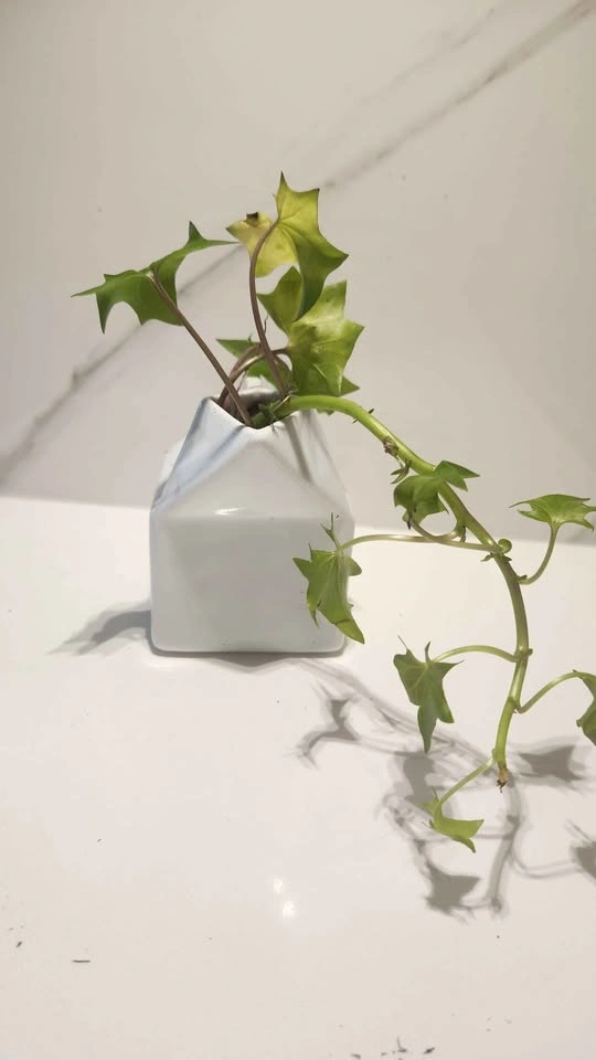 Upcycled ceramic creamer planter with plant - photo 2