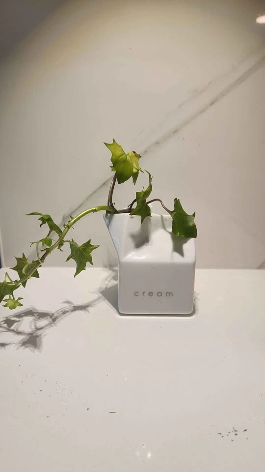 Upcycled ceramic creamer planter with plant - photo 4