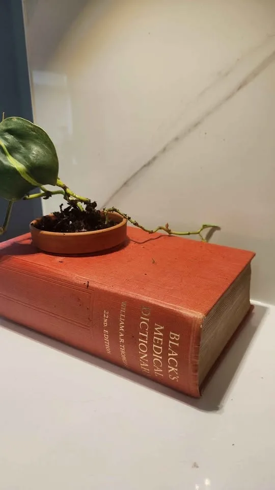 Upcycled vintage medical dictionary planter with plant - photo 2