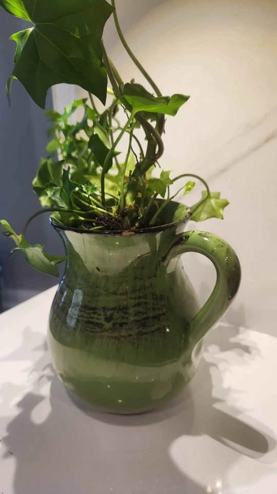 Upcycled green pottery jug planter with plant - photo 3