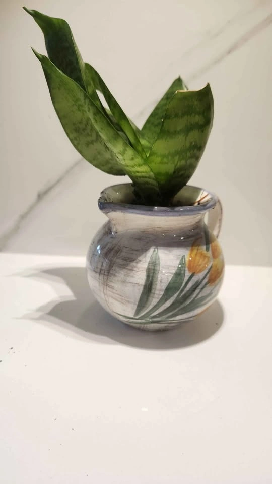 Upcycled small jug planter with plant - photo 2