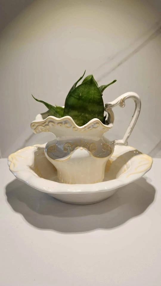Upcycled water jug and basin planter with plant