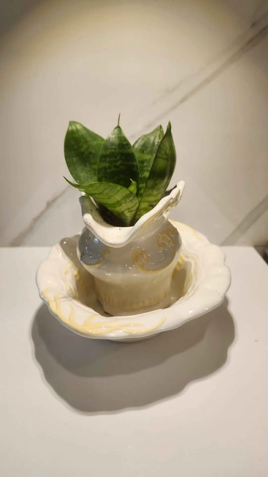 Upcycled water jug and basin planter with plant - photo 2