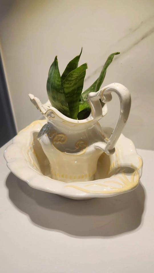 Upcycled water jug and basin planter with plant - photo 4