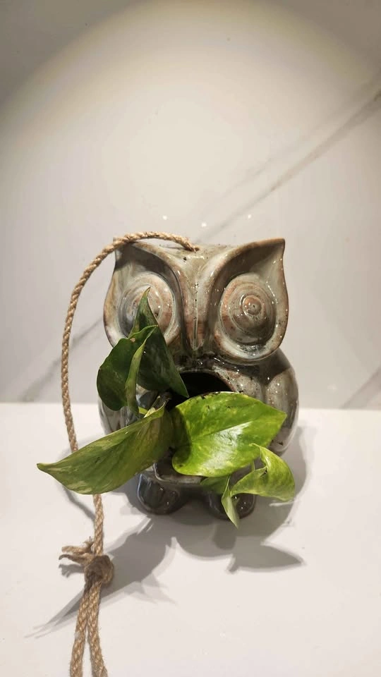 Upcycled owl décor planter with plant
