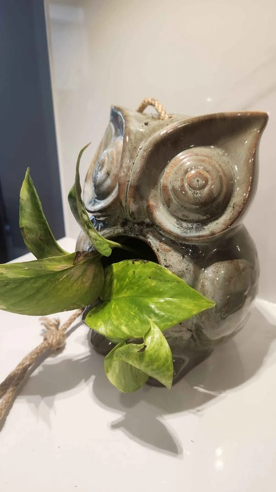 Upcycled owl décor planter with plant - photo 3