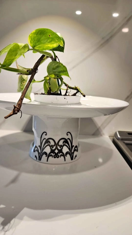 Upcycled fondue platter planter with plant