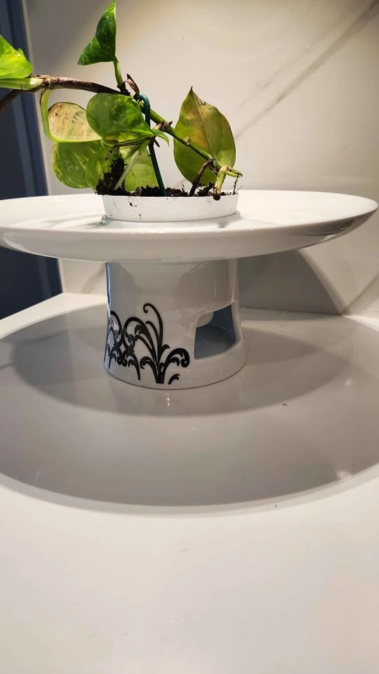 Upcycled fondue platter planter with plant - photo 4
