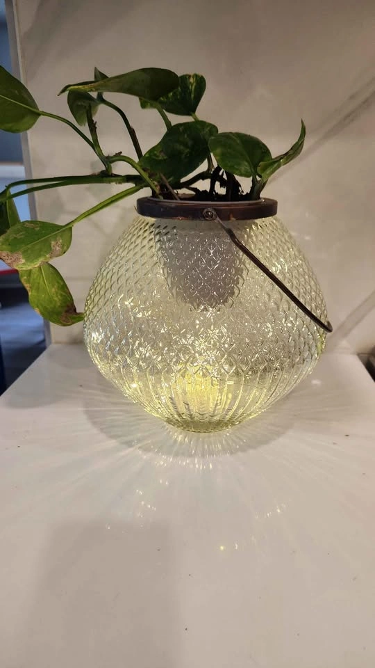 Upcycled Candle lantern planter with plant - photo 2