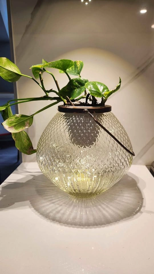 Upcycled Candle lantern planter with plant - photo 3