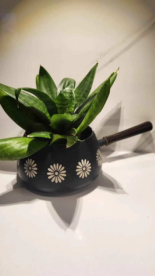 Upcycled vintage cooking pot planter with plant - photo 2
