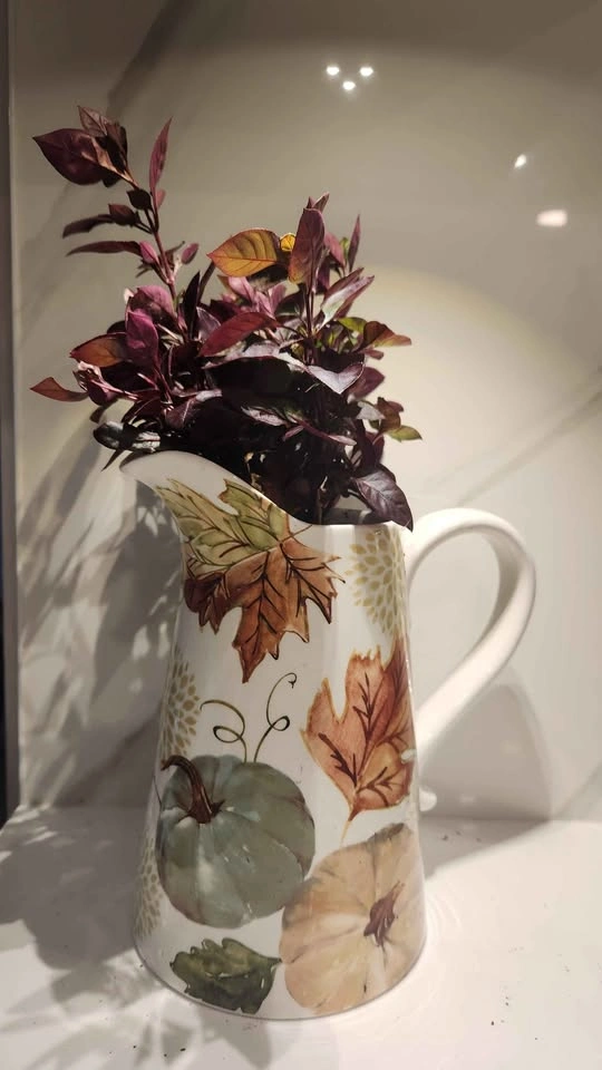 Upcycled water jug planter with plant - photo 2