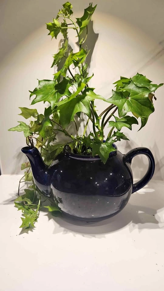 Navy blue upcycled teapot planter with plant