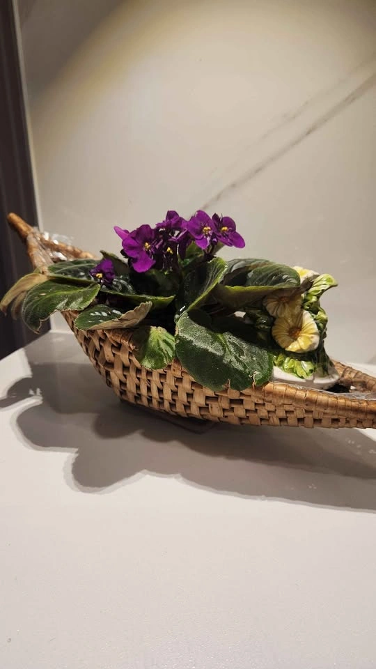 Upcycled vintage wicker basket with plant - photo 3