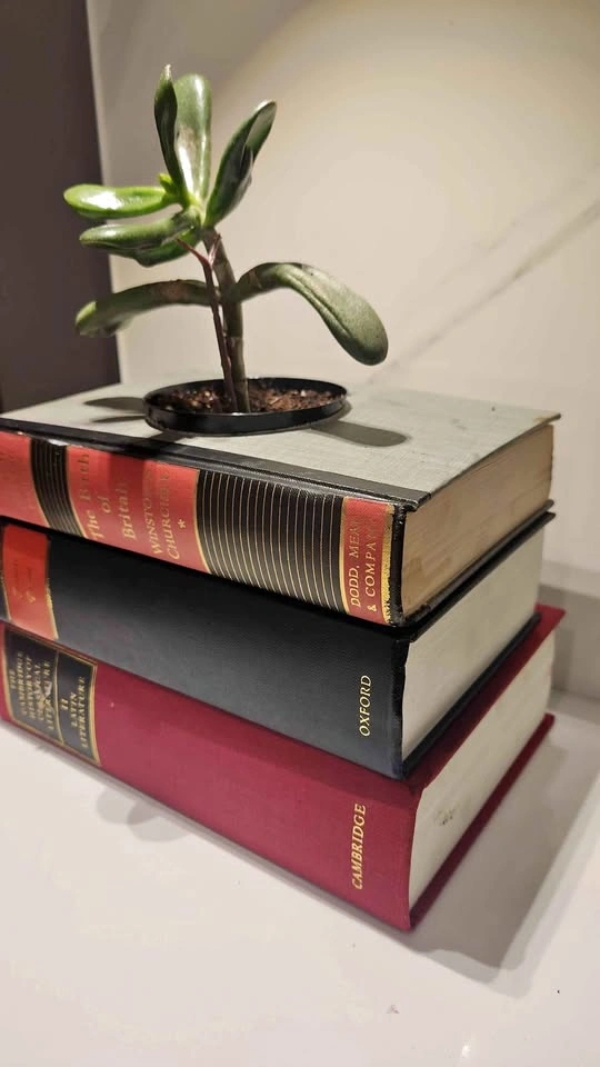Upcycled book planter with plant