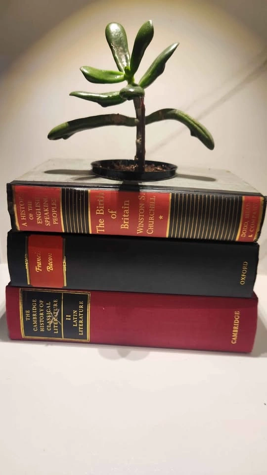 Upcycled book planter with plant - photo 3