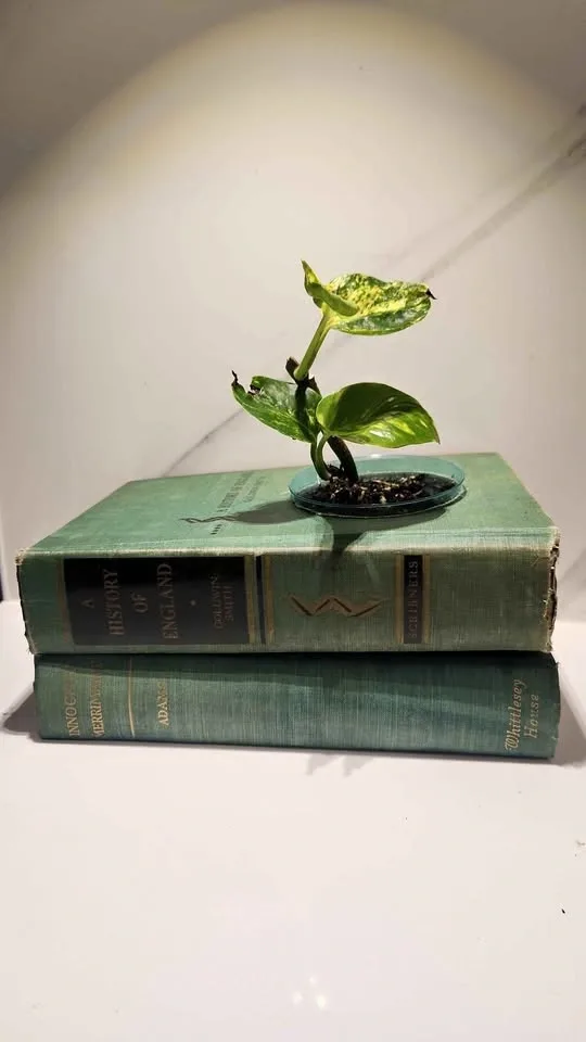Upcyled vintage green books planter with plant