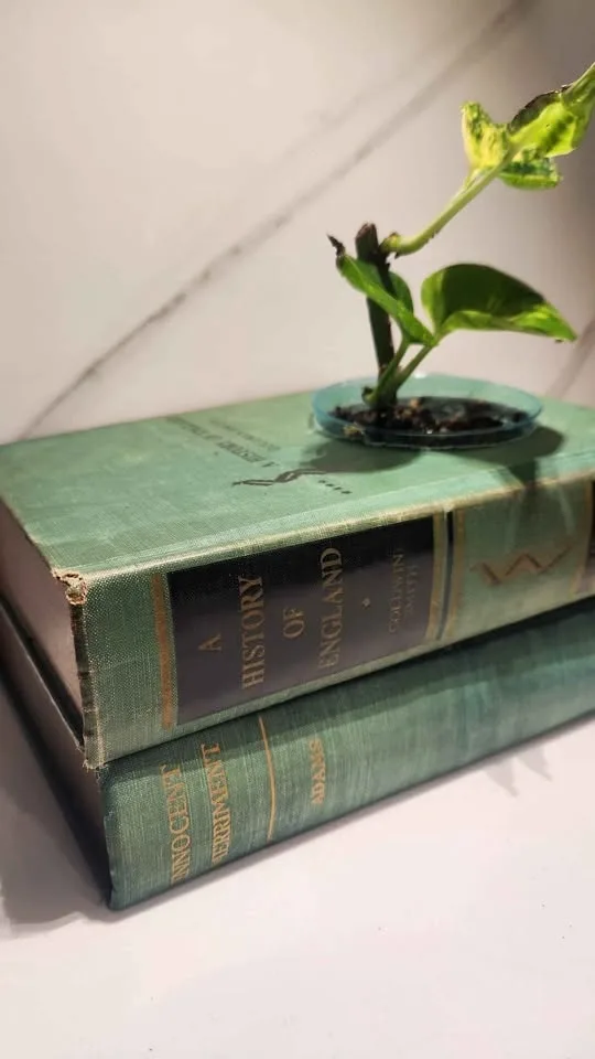 Upcyled vintage green books planter with plant - photo 2