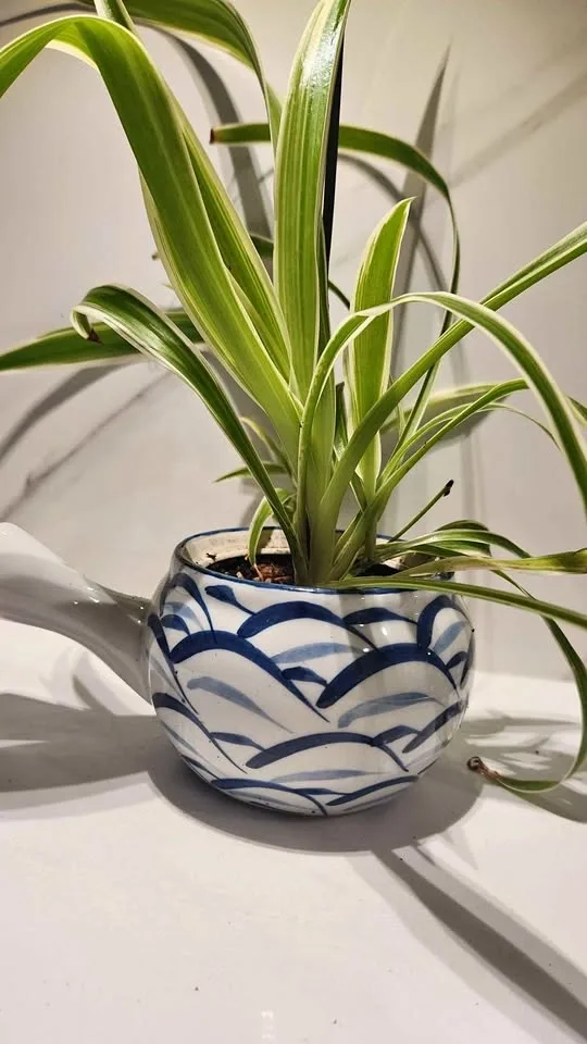 Upcycled handled pot with spout planter with plants