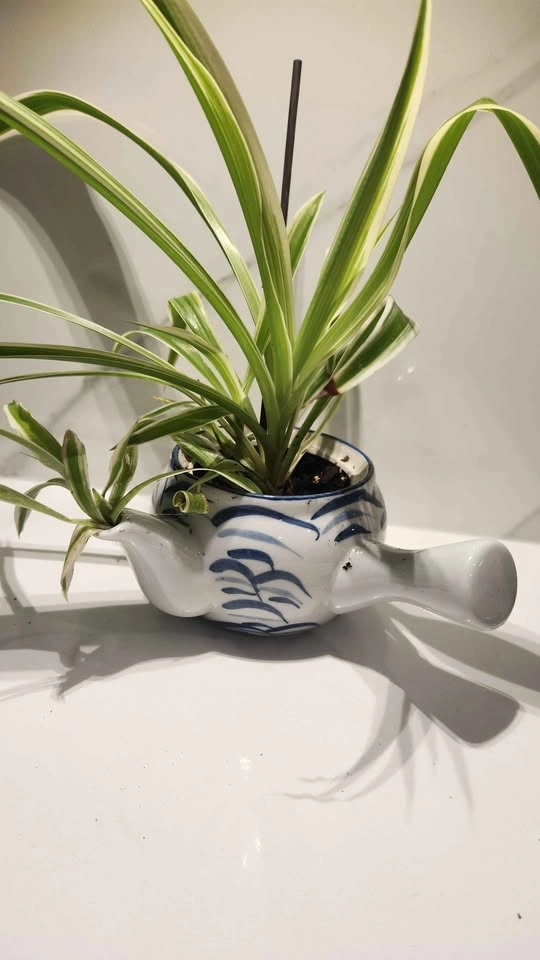 Upcycled handled pot with spout planter with plants - photo 3