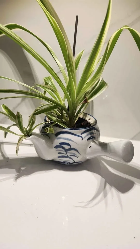 Upcycled handled pot with spout planter with plants - photo 3