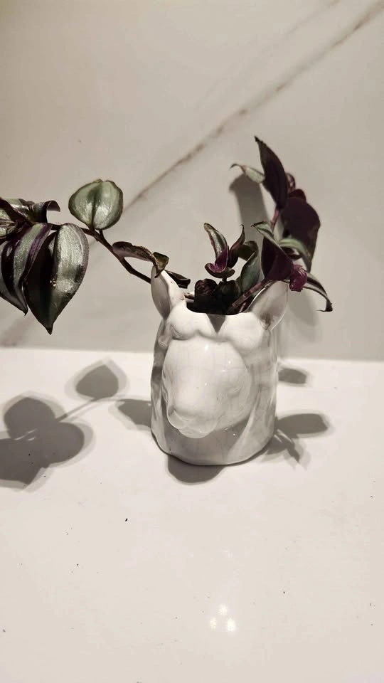 Llama planter with plants
