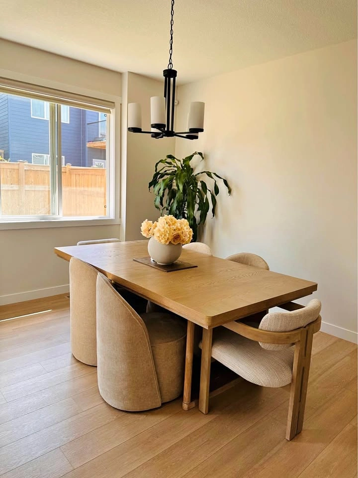 Modern dinning set