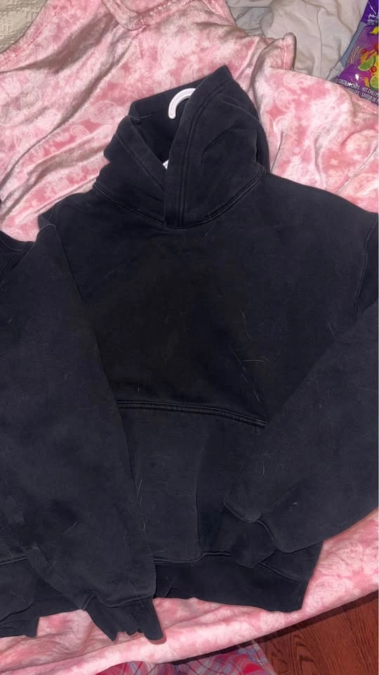 Aritzia Hoodies - photo 2