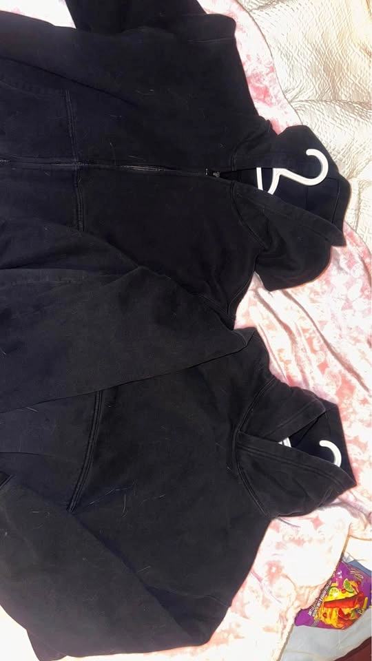 Aritzia Hoodies - photo 4