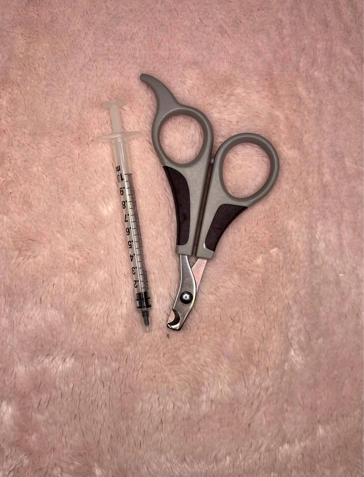 Cat, rabbit, or small dog nail trimmer and medicine syringe