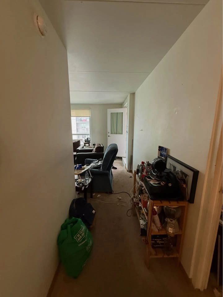 Junk Cleanout Sale - photo 3