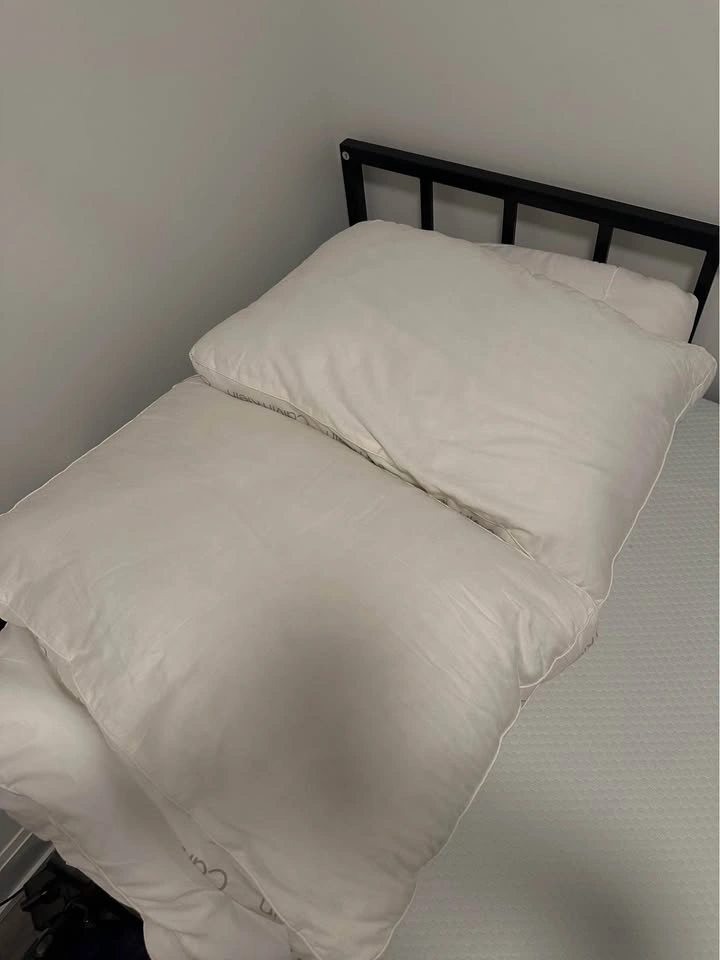 Calvin Klein Bedding Set - Pillows and Comforter - photo 2