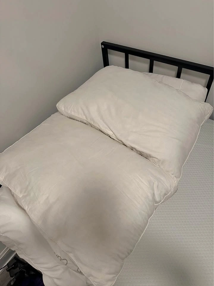 Calvin Klein Pillows