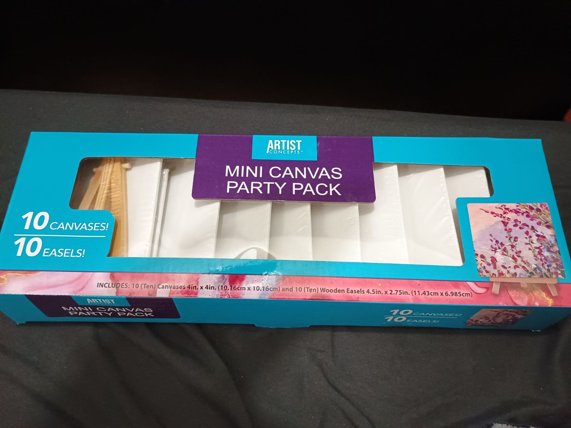 Set of 10 mini canvases and wooden easels