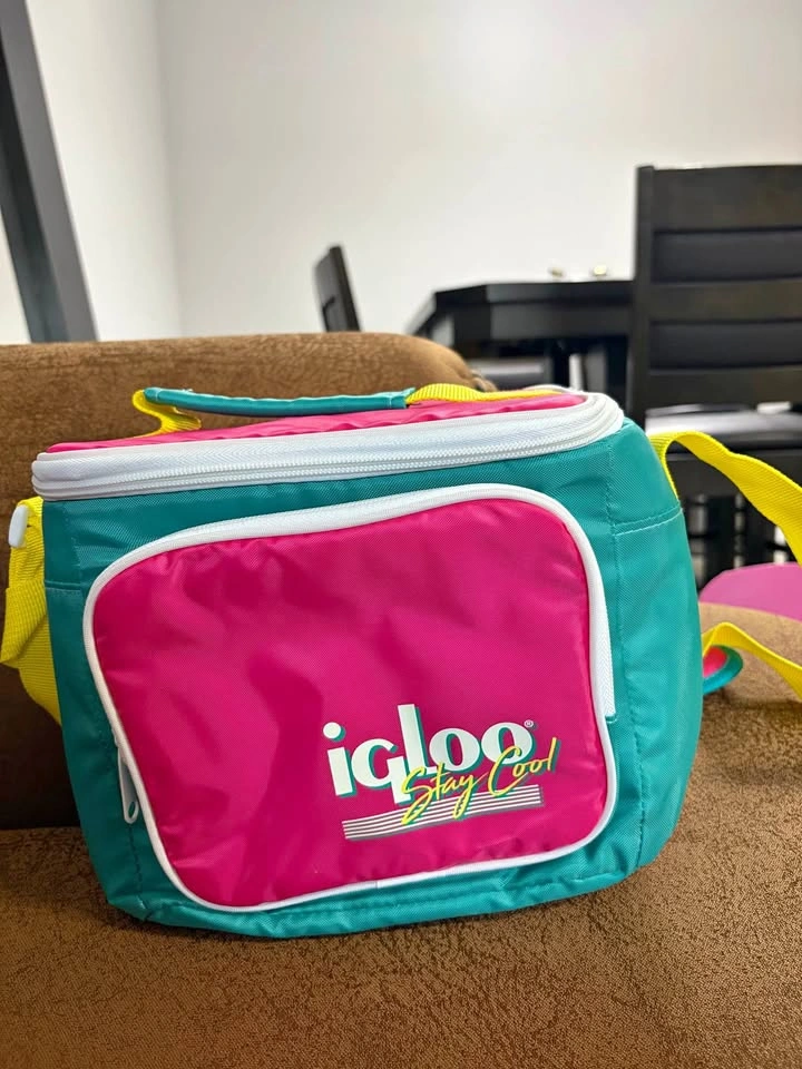Igloo Insulated Lunch Bag