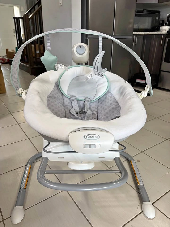 Graco Baby Swing and Rocker