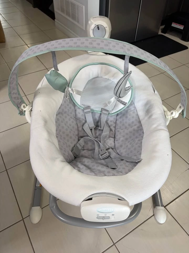 Graco Baby Swing and Rocker - photo 2