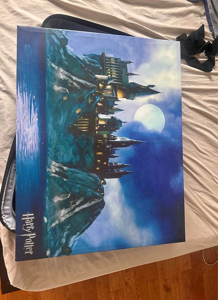 Harry Potter canvas