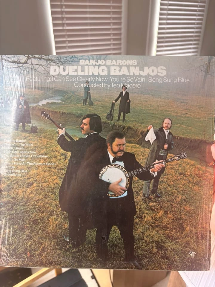 Vintage Vinyl Record Collection - photo 2