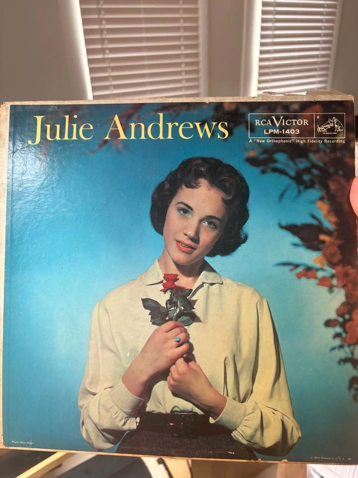Vintage Vinyl Record Collection - photo 3