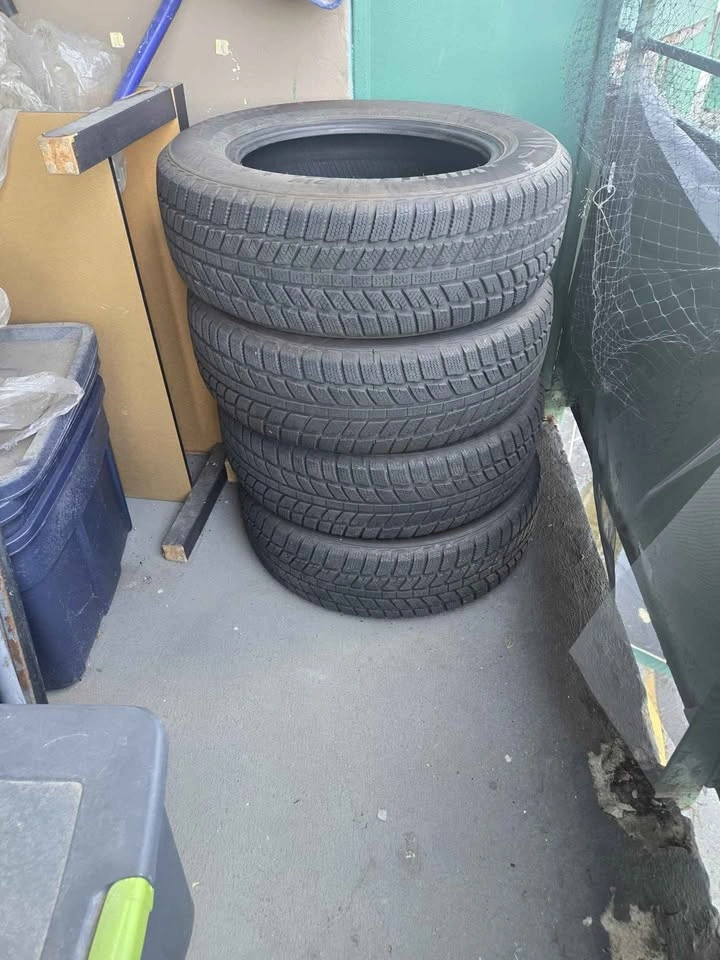 Dynamo Winter Tires - photo 5