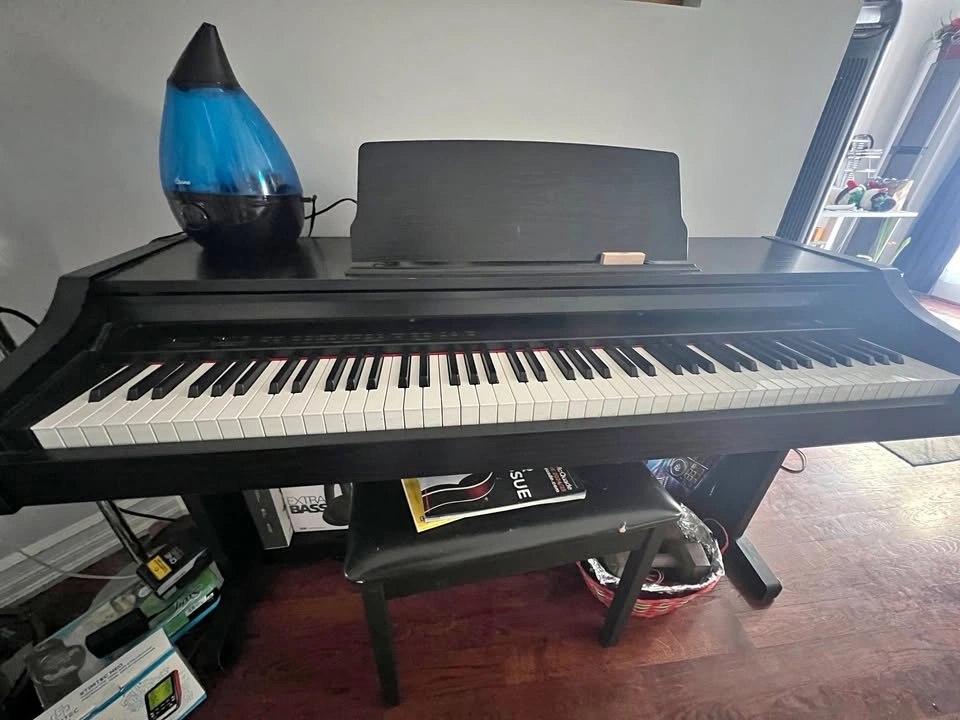 Allegro Viscount Digital Piano