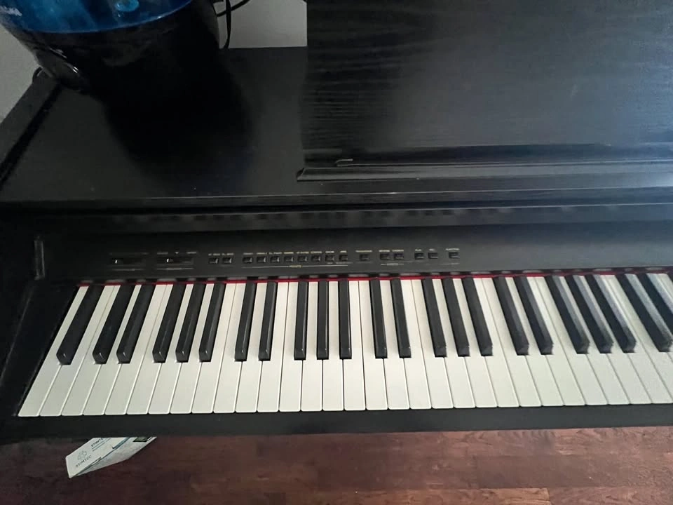 Allegro Viscount Digital Piano - photo 2